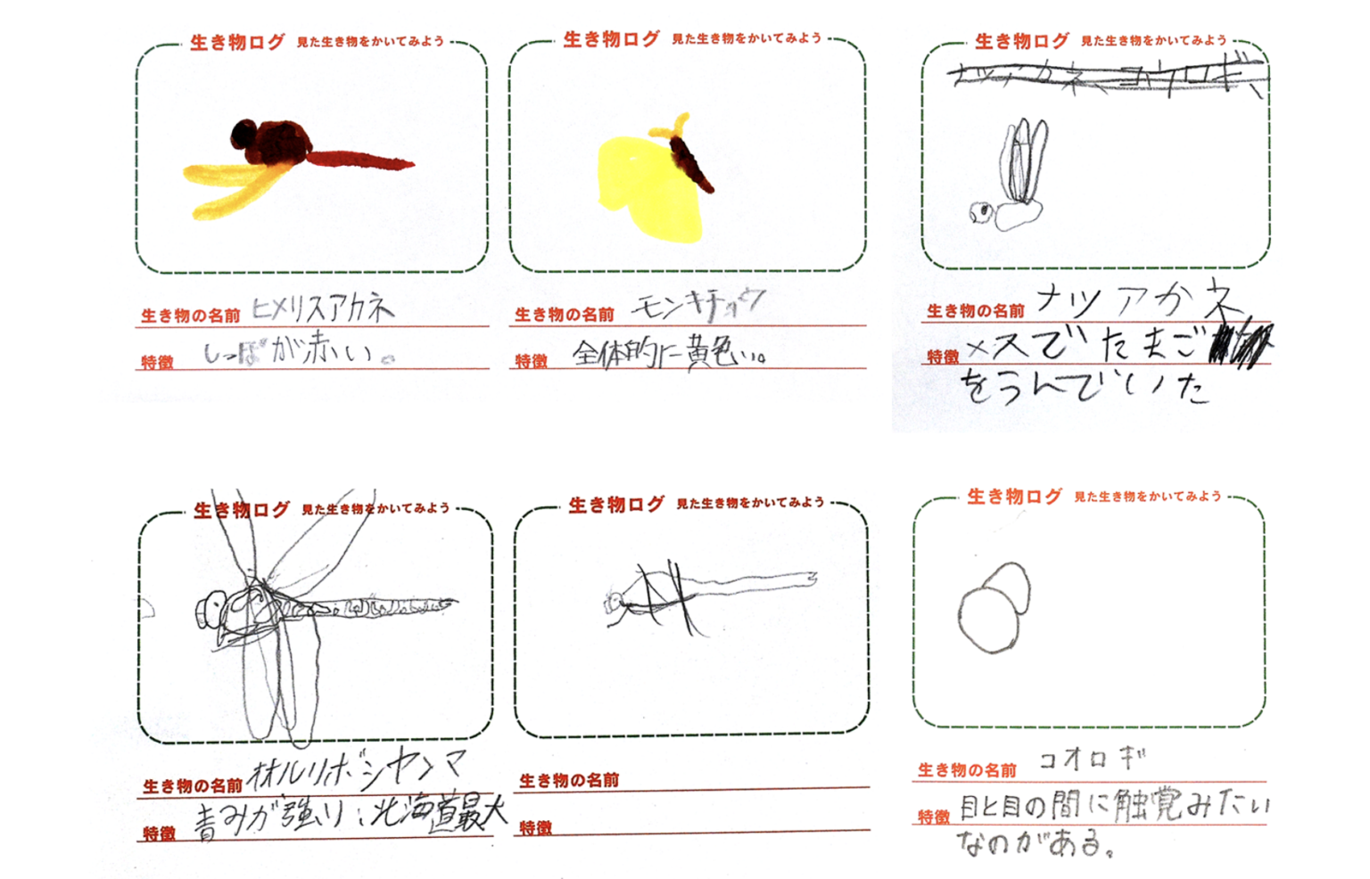 参加したこどもたちの日記